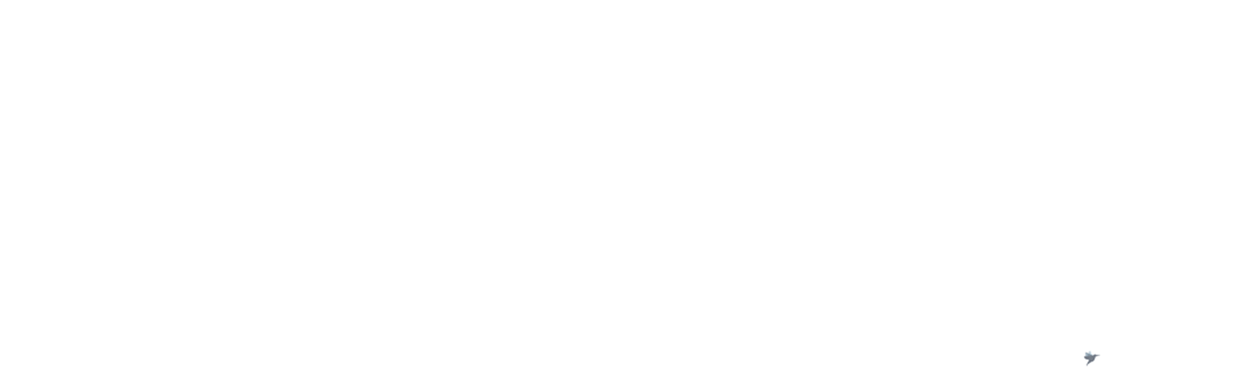 ̹